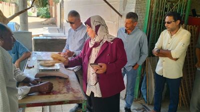 ضبط 20 طن قمح وتحرير 22 محضرًا تموينيًا في الوادي الجديد