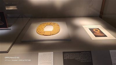 المتحف المصري يُحدث بطاقات كنوز تانيس لتجربة أكثر ثراءً للزائرين | صور 