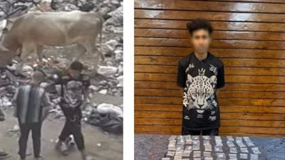 القبض على شخص بتهمة الترويج للمواد المخدرة في شبرا الخيمة