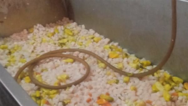 جانب من المضبوطات