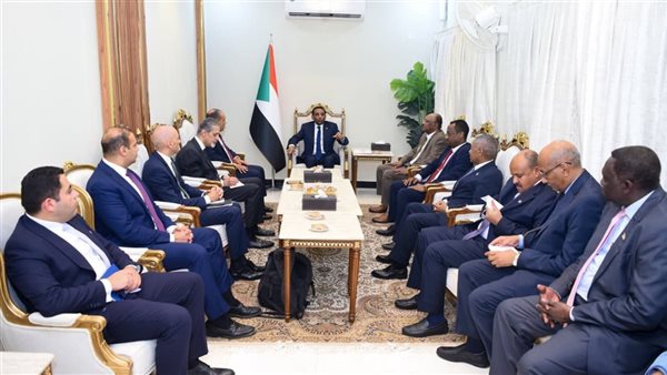 وزير الخارجية يلتقي