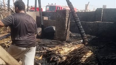 حريق يلتهم حوشين بساحل طهطا في سوهاج.. نفوق ماشية وخسائر زراعية | صور
