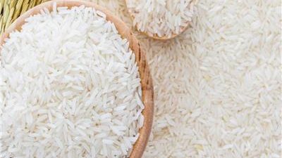 سعر طن الأرز الشعير في الأسواق اليوم الأربعاء