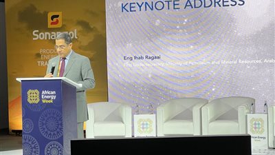مصر تؤكد ريادتها في قطاع الطاقة خلال مشاركتها في أسبوع الطاقة الإفريقي بكيب تاون
