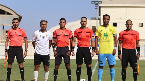 دوري المحترفين