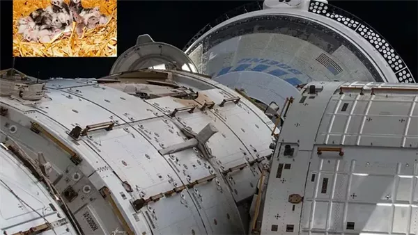  صورة تعبيرية 