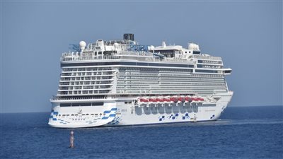 على متنها 449 سائحًا.. وصول السفينة السياحية أرويا إلى مرسى علم