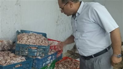 محافظة الجيزة: ضبط 42 طن لحوم ودواجن فاسدة.. وتحرير 42 محضرًا خلال 3 أسابيع