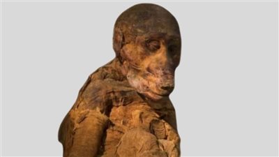 المتحف المصري يحتفل باليوم العالمي للحيوان.. من حضارة المصري القديم إلى المسؤولية العالمية