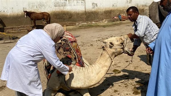 جانب من حملات تحصين