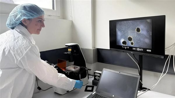 أدمغة بشرية ـ تعبيرية