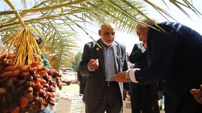 تضم 17 ألف شجرة.. محافظ الوادي الجديد يتفقد إحدى مزارع النخيل النموذجية