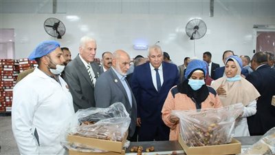 محافظ الوادي الجديد يفتتح أعمال تطوير مصنع الطحان للتمور بمدينة الخارجة
