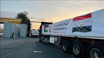 الهلال الأحمر المصري: دفعنا بأكثر من 2 مليون سلة غذائية إلى غزة منذ يوليو الماضي | خاص