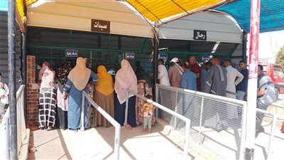 اللحوم البلدية بـ280 جنيها والطماطم بـ17.5 والبطاطس بـ12.5.. منافذ سلع مخفضة بالوادي الجديد 