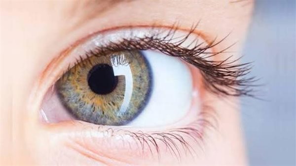 قرنيات العيون