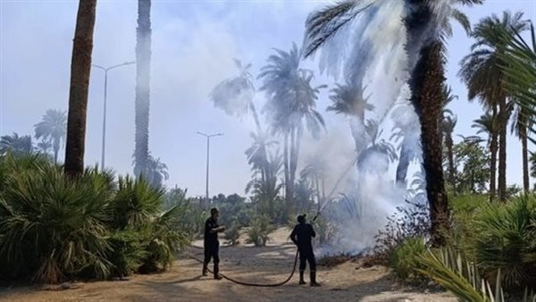 حريق بنخيل مبارك