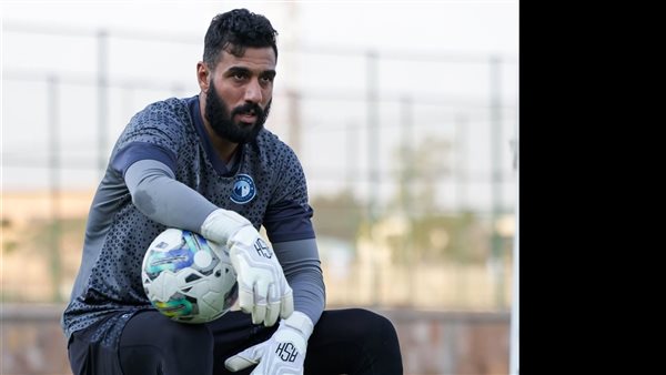 أحمد الشناوي 