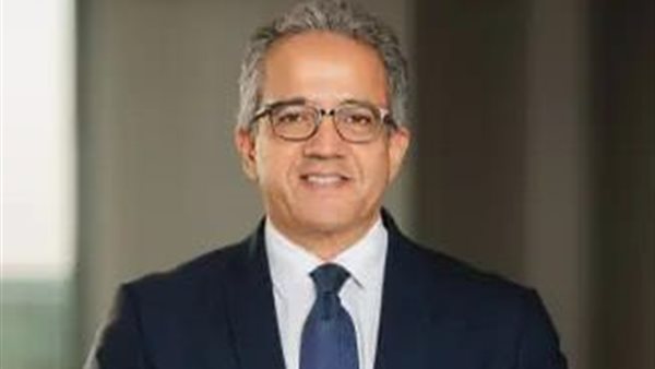 الدكتور خالد العناني