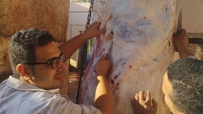 بيطري أسيوط: مرور مفاجئ على المجازر لضمان سلامة الغذاء وحماية صحة المواطنين