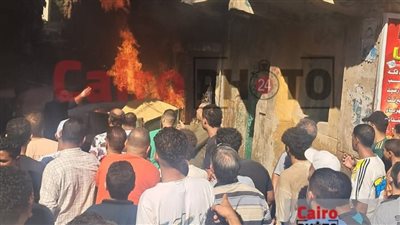 دون إصابات.. السيطرة على حريق بمزرعة دواجن في الفيوم 