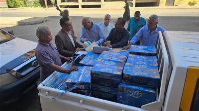 ضبط 2.5 طن مواد غذائية فاسدة قبل طرحها بالأسواق في أرمنت بالأقصر