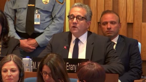 الدكتور خالد العناني