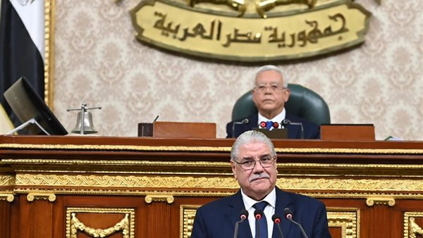 النائب محمود الصعيدي