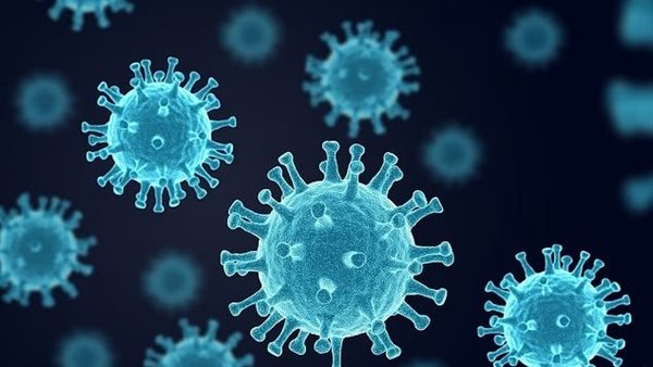 فيروسات ـ تعبيرية