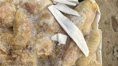 ضبط 1200 كيلو لحوم غير صالحة للاستهلاك الآدمي بأسيوط