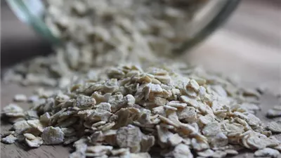 ماذا يحدث لجسمك إذا تناولت الشوفان يوميًا؟.. خبراء التغذية يجيبون