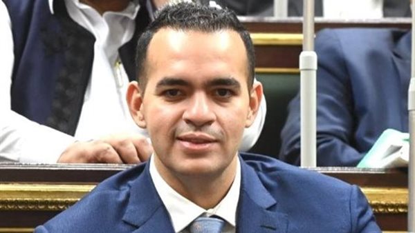 النائب محمود هشام