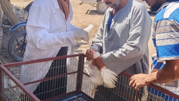 جانب من المتابعه