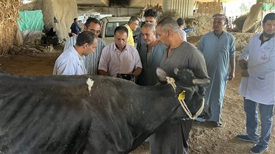 بعد فيضان النيل.. وزير الزراعة يوجه بتحرك عاجل لدعم المربين بالمنوفية 