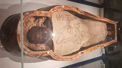 متحف التحنيط بالأقصر يحتفل بنصر أكتوبر.. ويستعرض بطولات المصريين عبر العصور | صور