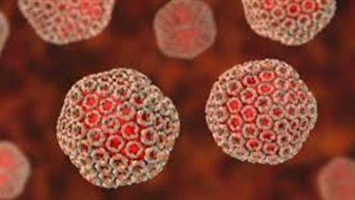 السنغال تسجل 17 حالة وفاة بسبب تفشي حمى الوادي المتصدع