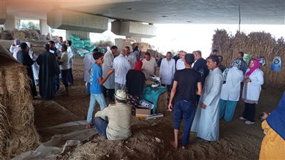 الطب البيطري بالمنوفية ينفذ قافلة علاجية بقرية دلهمو لدعم المتضررين من فيضان النيل