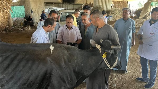 جانب من الحملات