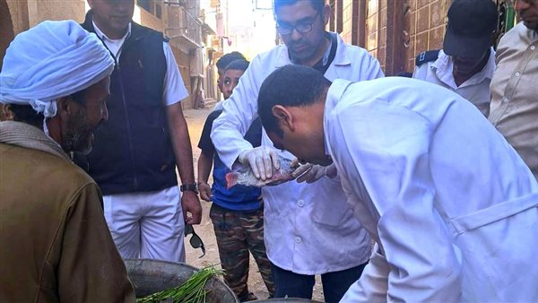 جانب من الحملة 