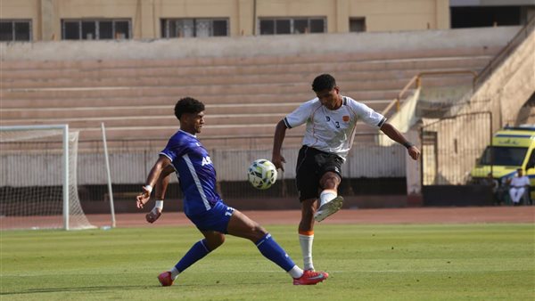 دوري المحترفين