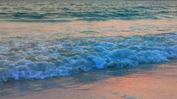 رأس راية ريفيرا مصر