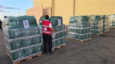 وصول الطائرة الإغاثية السعودية الـ 67 لإغاثة الشعب الفلسطيني إلى مطار العريش
