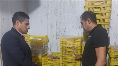 ضبط مخبز تصرف في 3 أطنان دقيق مدعم ومحل مشويات لديه 230 كيلو لحوم فاسدة بالإسكندرية