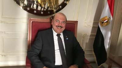 رئيس شعبة الأدوات الكهربائية: مصر بدأت تجني ثمار برنامجها للإصلاح الاقتصادي
