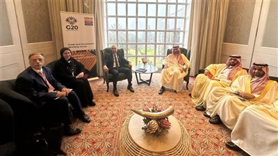 مصر تشارك بالاجتماع الوزاري للتجارة والاستثمار لمجموعة العشرين في جنوب إفريقيا