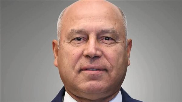 كامل الوزير - نائب