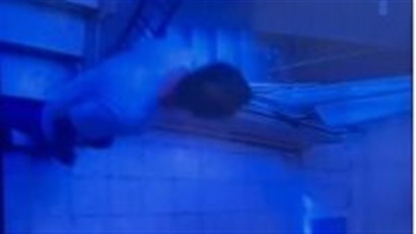 جانب من الواقعة 