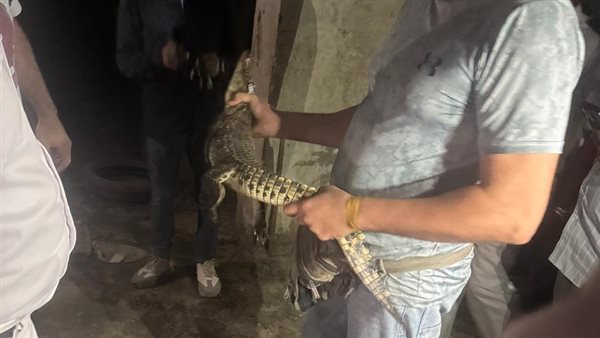 جانب من العثور على