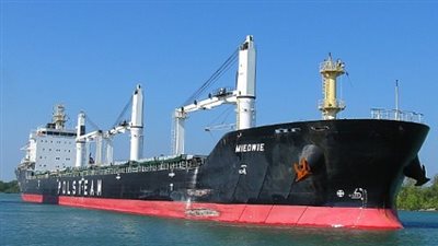 طولها 190 مترا.. ميناء دمياط يستقبل 19300 طن قمح على متن سفينة قادمة من أستراليا 