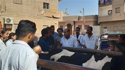 بيطري أسيوط: تنظيم قوافل مجانية وتقديم الدعم الفني والإرشاد لصغار المربين بالقرى
